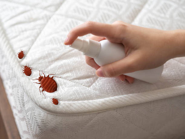 Best Bed Bug Extermination  in Oak Harbor, OH