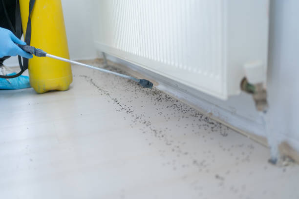 Professional Pest Control in Oak Harbor, OH