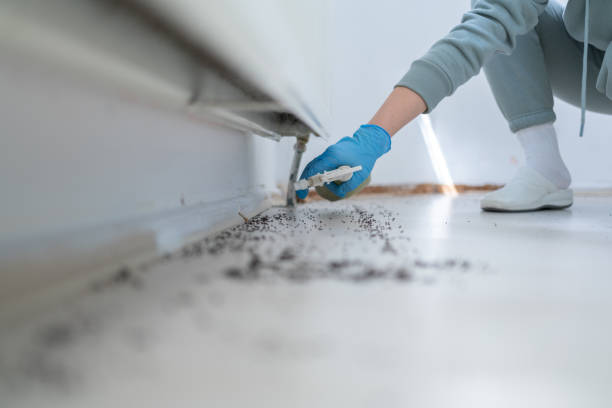 Best Insect Control  in Oak Harbor, OH